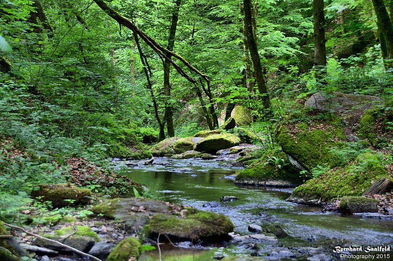 Bernhard Saalfeld - Ehrbachklamm